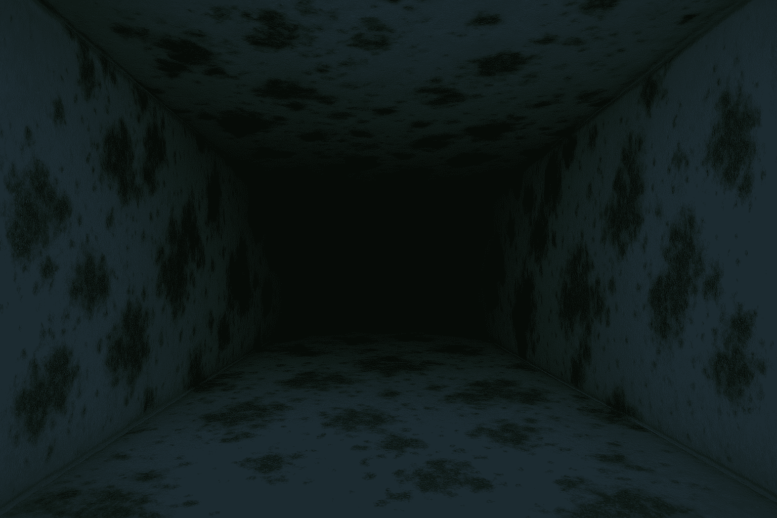 1St Choice Irving Air Duct Mold Removal