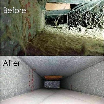 Mold in Air Ducts