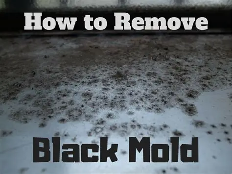 Black Mold Removal